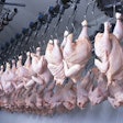 factory for the production of chicken meat. technological process.