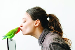 Dog and cat owners aren’t the only ones demanding premium products for their pets. (Daria Fomina I Shutterstock.com)