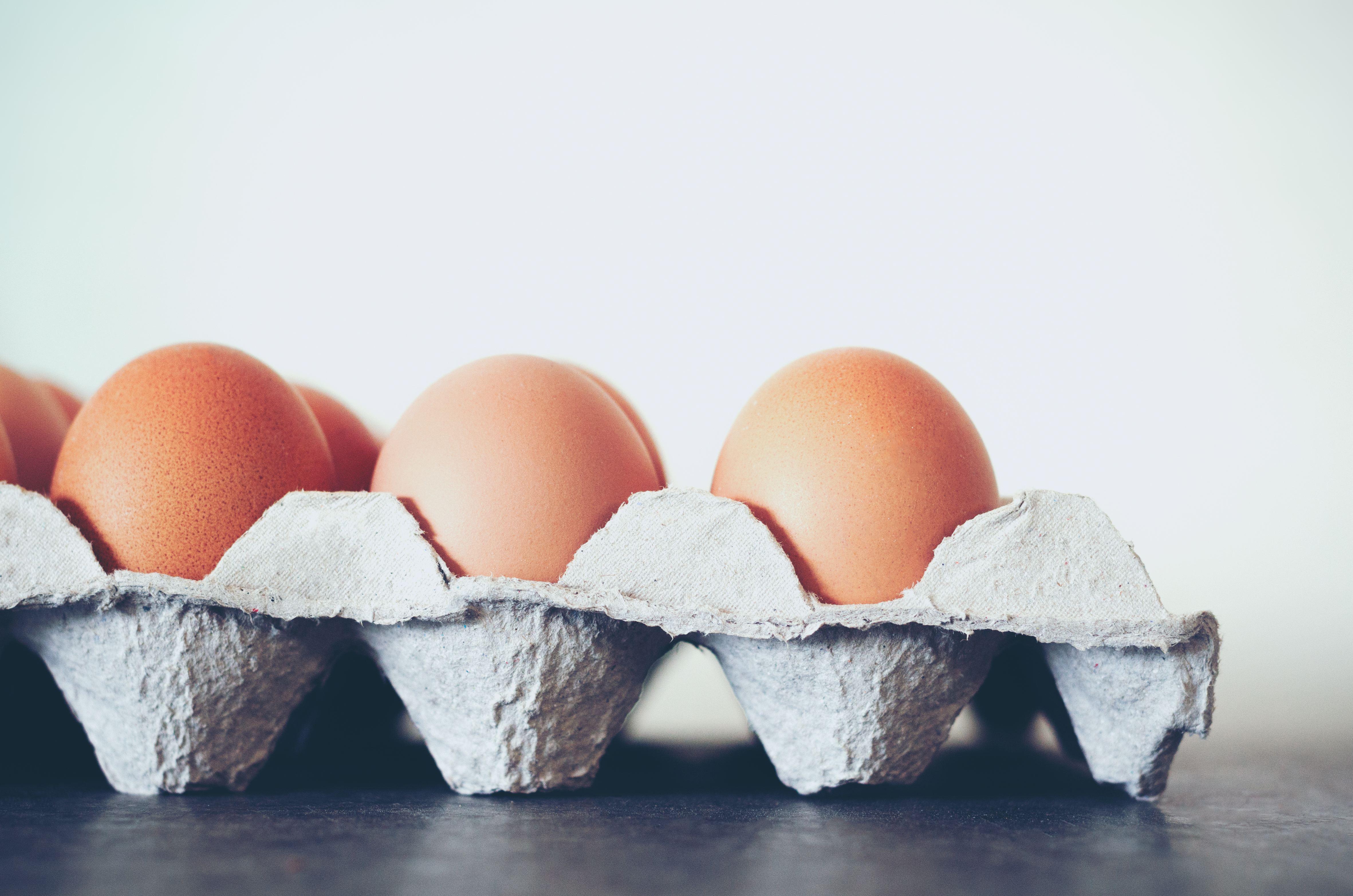 Cat Act Art I shutterstock.com