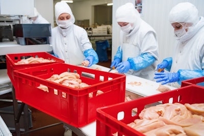 Food products meat chicken in plastic packaging on the conveyor.Chicken fillet production line . Factory for the production of food from meat.Conveyor Belt Food.The meat factory.chicken on a conveyor belt.meat processing plant.