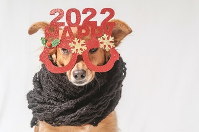 Adorable dog wishes you a happy new year 2022