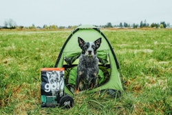 Petcurean prides itself on taking care of pets’ nutritional needs at every life stage. | Photo by Petcurean