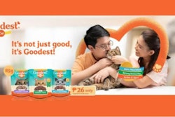 2021 11 Century Cat Food Banner