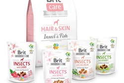 Bcd Insect Food Crunchy Snacks