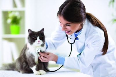 pet-at-vet-clinic