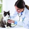 pet-at-vet-clinic