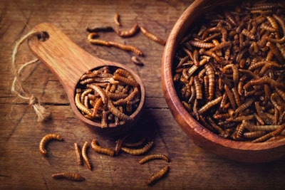 Insect-protein-mealworms