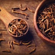 Insect-protein-mealworms