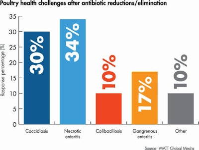 Poultry Health Issues Without Ag Ps 2022
