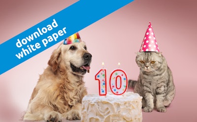 Website Senior Pets 1