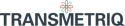 Transmetriq Logo No Tagline