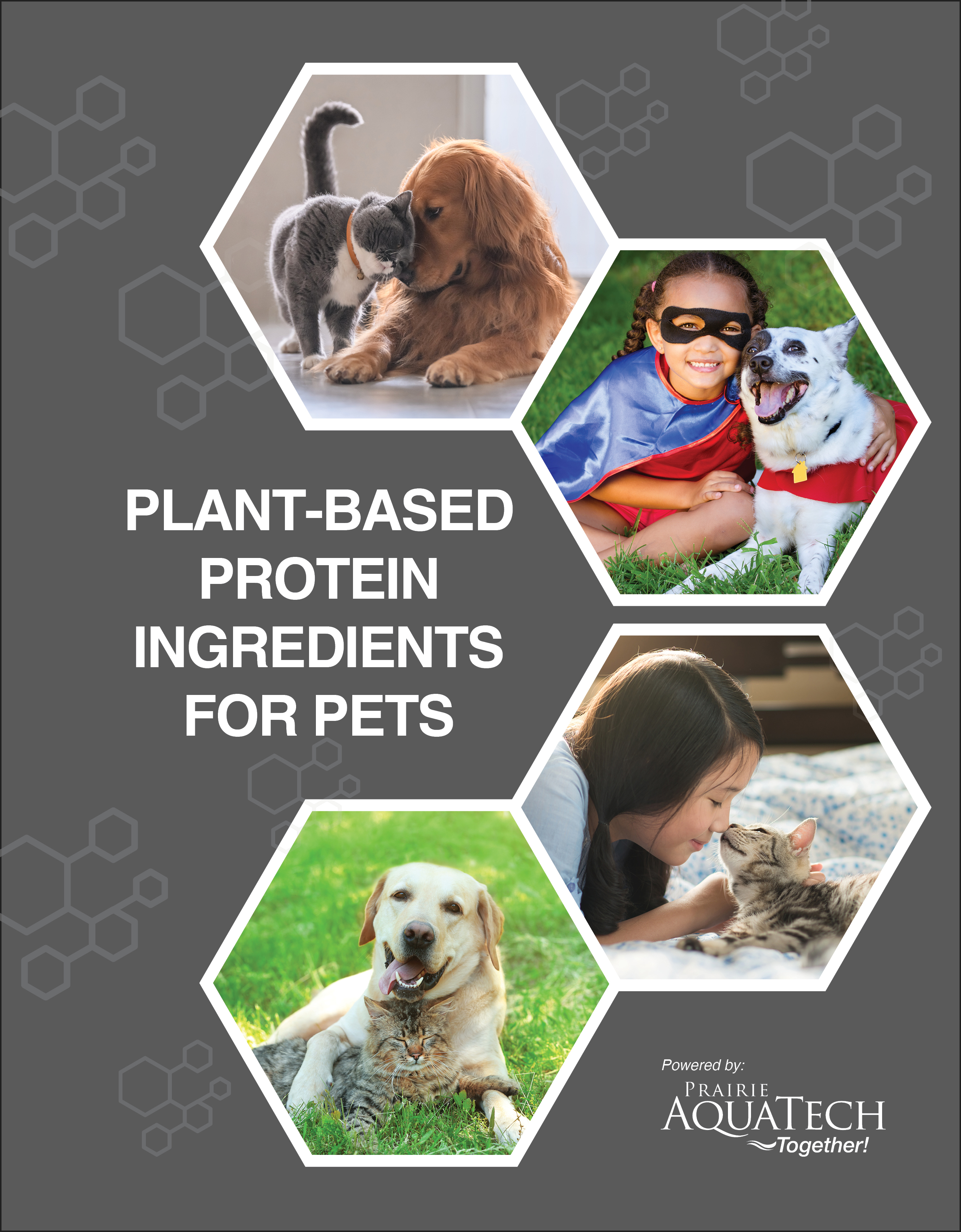 Brochure_PFF_0422_Digital-1.pdf | PetfoodIndustry