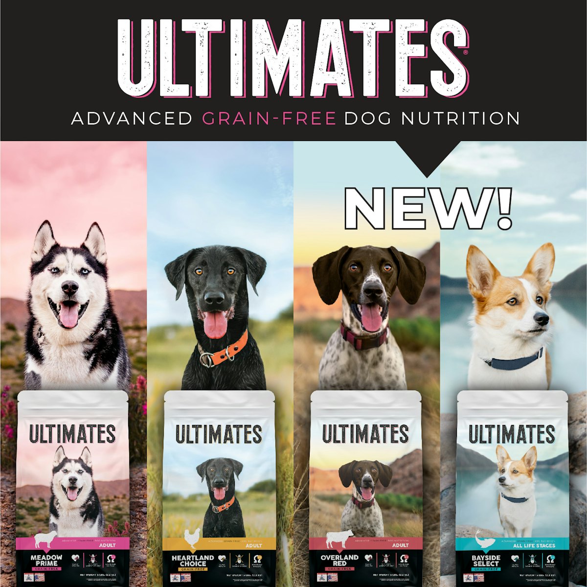 Pac Shop Pro Pac Dog Food Petsmart Heartland Choice Pro Pak Dog