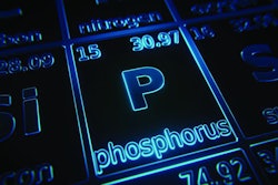 Focus on chemical element Phosphorus illuminated in periodic table of elements. 3D rendering