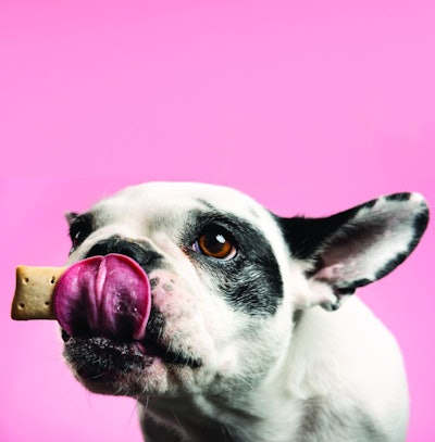 Dog-getting-treat