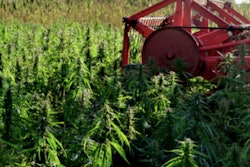 Poland’s Kombinat Konopny specializes in hemp-based products from its own plantations and aims to add dog treats and other pet products to its portfolio.