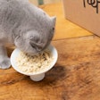 Pepette is readying to launch its own pet food factory in the Centre Val de Loire region of France.