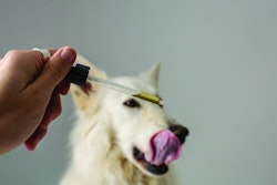 pet-with-cbd