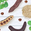 Carob Bean Illustration