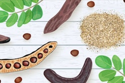 Carob Bean Illustration