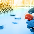 Meat cultured in laboratory conditions from stem cells.