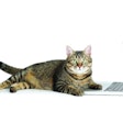 Beautiful cat with laptop computer lying on white background