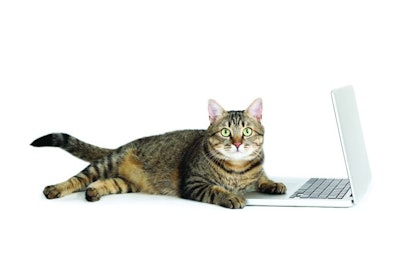 Beautiful cat with laptop computer lying on white background