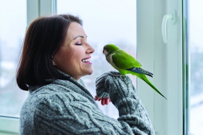 Pet-bird-with-owner