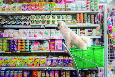 Bangkok, Thailand - April 8, 2017 : Dog so cute wait a pet owner shopping by selecting a variety accessories or pet food from pet goods shelf in petshop for her dog open daily for service everyday.