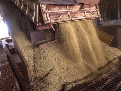 NGFA and other stakeholders have recommended that FGIS remove soybeans of other colors (SBOC) as a grade-determining factor for describing the quality of soybeans. (Alfribeiro | BigStock.com)