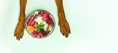 Natural raw dog food in bowl on white floor and dog's paws on background. Dog nutrition concept. BARF dog diet.