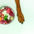 Natural raw dog food in bowl on white floor and dog's paws on background. Dog nutrition concept. BARF dog diet.
