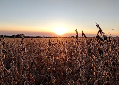 Products from commodity crops like soybeans that are used in pet food and human food may be diverted into increased biofuel production in the U.S.