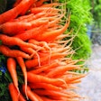 Close up heap of bunch baby carrots in the market. Orange vegetable.