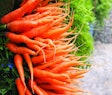 Close up heap of bunch baby carrots in the market. Orange vegetable.