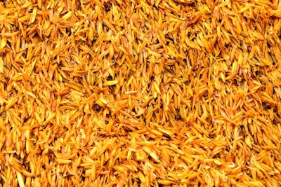 Rice hulls are the coatings of seeds, or grains, of rice.