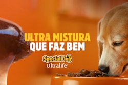 Special Dog Brazil