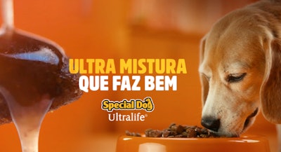 Special Dog Brazil