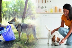 Volunteer man picking up plastic bottles in a forest with his dog
