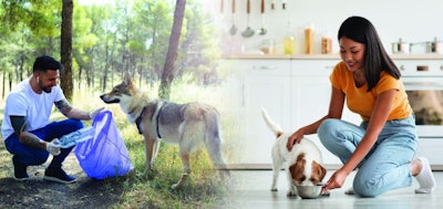 Volunteer man picking up plastic bottles in a forest with his dog