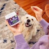 Wellness Pet Food Supplements