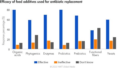 Efficacy Of Antibiotic Replacement Feed Additives 2023