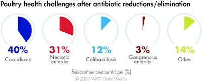 Poultry Health Issues Without Ag Ps 2023v2