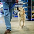 Man and dog on leash walking in hard-ware store.