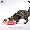 A new higher tax on top of inflation and other economic crises may cause pet food producers such as Wellness Pet Food Processing to close down.
