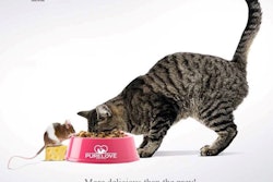 A new higher tax on top of inflation and other economic crises may cause pet food producers such as Wellness Pet Food Processing to close down.
