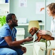 Happy young pet owner consulting with African-American male veterinarian in blue medical scrubs sitting on squats in front of her