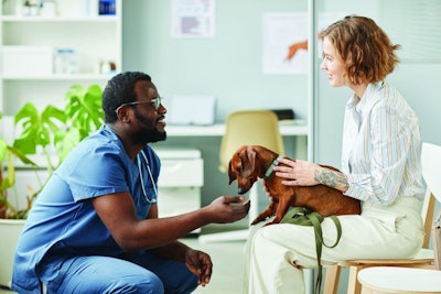 Happy young pet owner consulting with African-American male veterinarian in blue medical scrubs sitting on squats in front of her