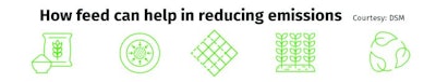 Given the impact that feed has on the environment, altering its formulation can result in significant benefits.