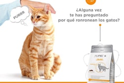 Nupec Digestive Health Cat Food